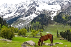 Explore-the-Valleys-Heavenly-Lakes-Meadows-and-Majestic-Mountains